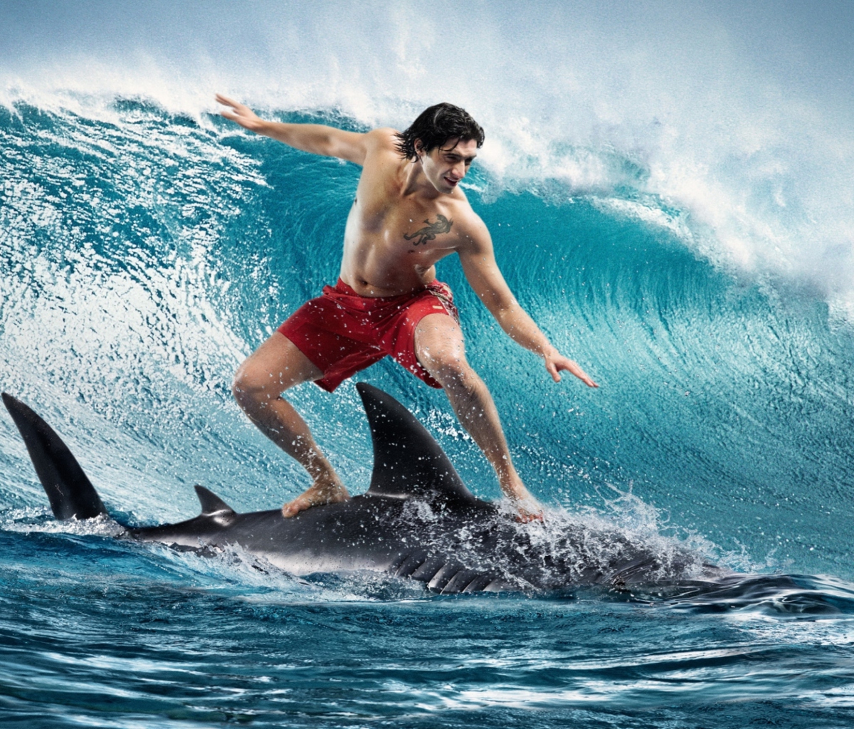 Das Shark Surfing Wallpaper 1200x1024