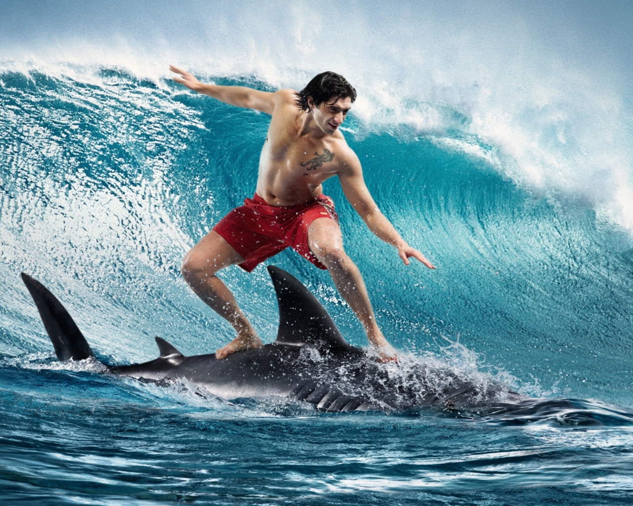 Das Shark Surfing Wallpaper 1280x1024