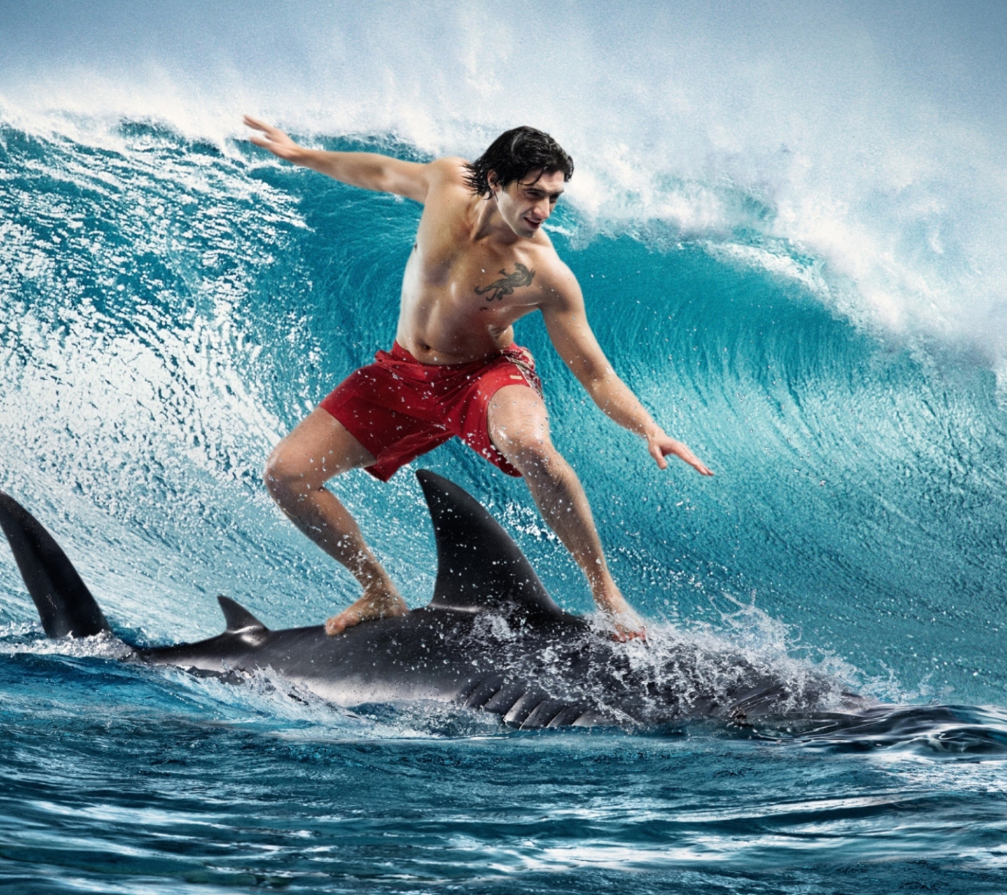 Fondo de pantalla Shark Surfing 1440x1280
