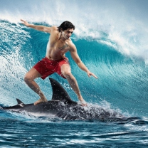 Sfondi Shark Surfing 208x208