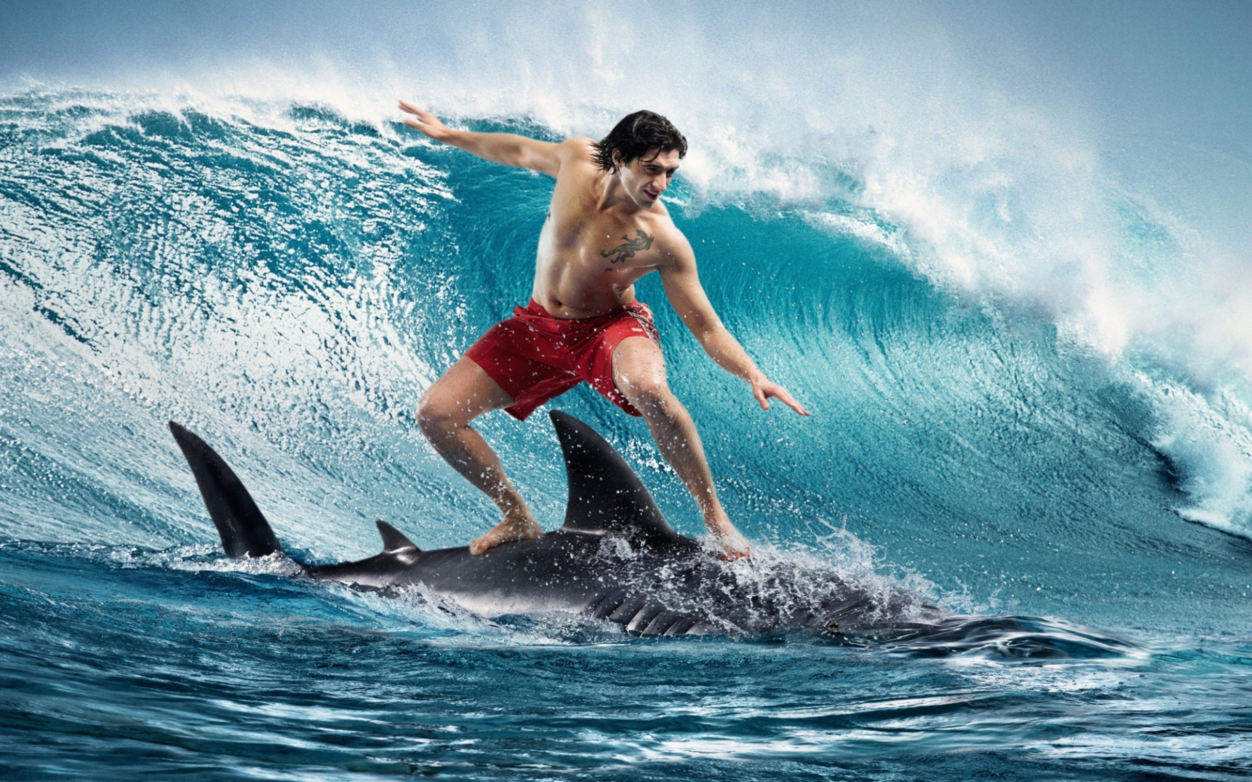Shark Surfing wallpaper 2560x1600