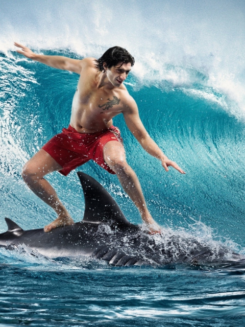 Das Shark Surfing Wallpaper 480x640