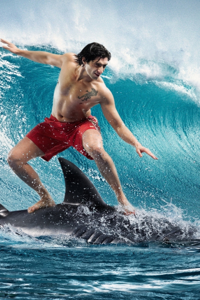 Das Shark Surfing Wallpaper 640x960