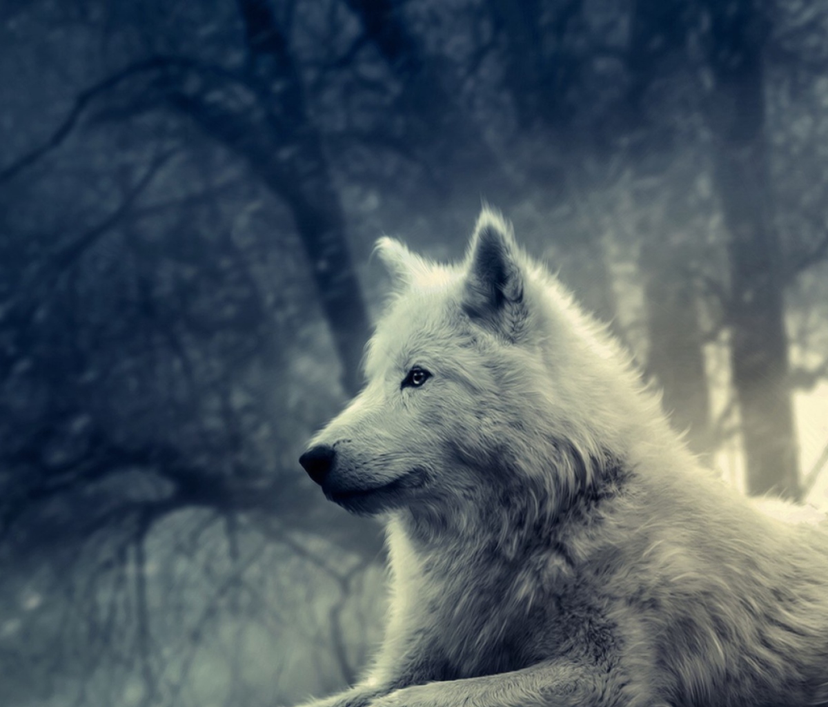 White Wolf Painting wallpaper 1200x1024