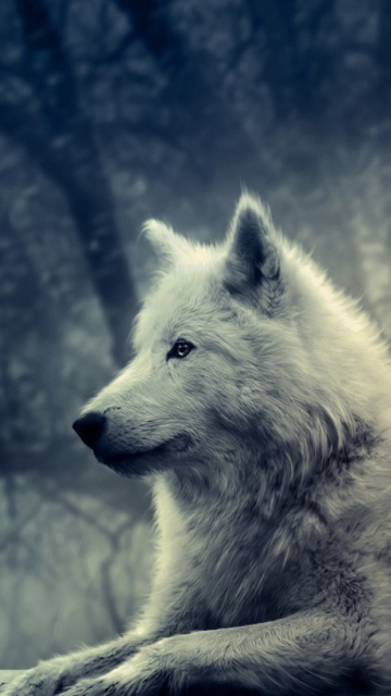 Das White Wolf Painting Wallpaper 360x640