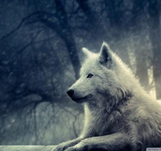 White Wolf Painting - Obrázkek zdarma pro iPad