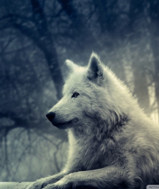 White Wolf Painting - Fondos de pantalla gratis para Nokia Asha 311