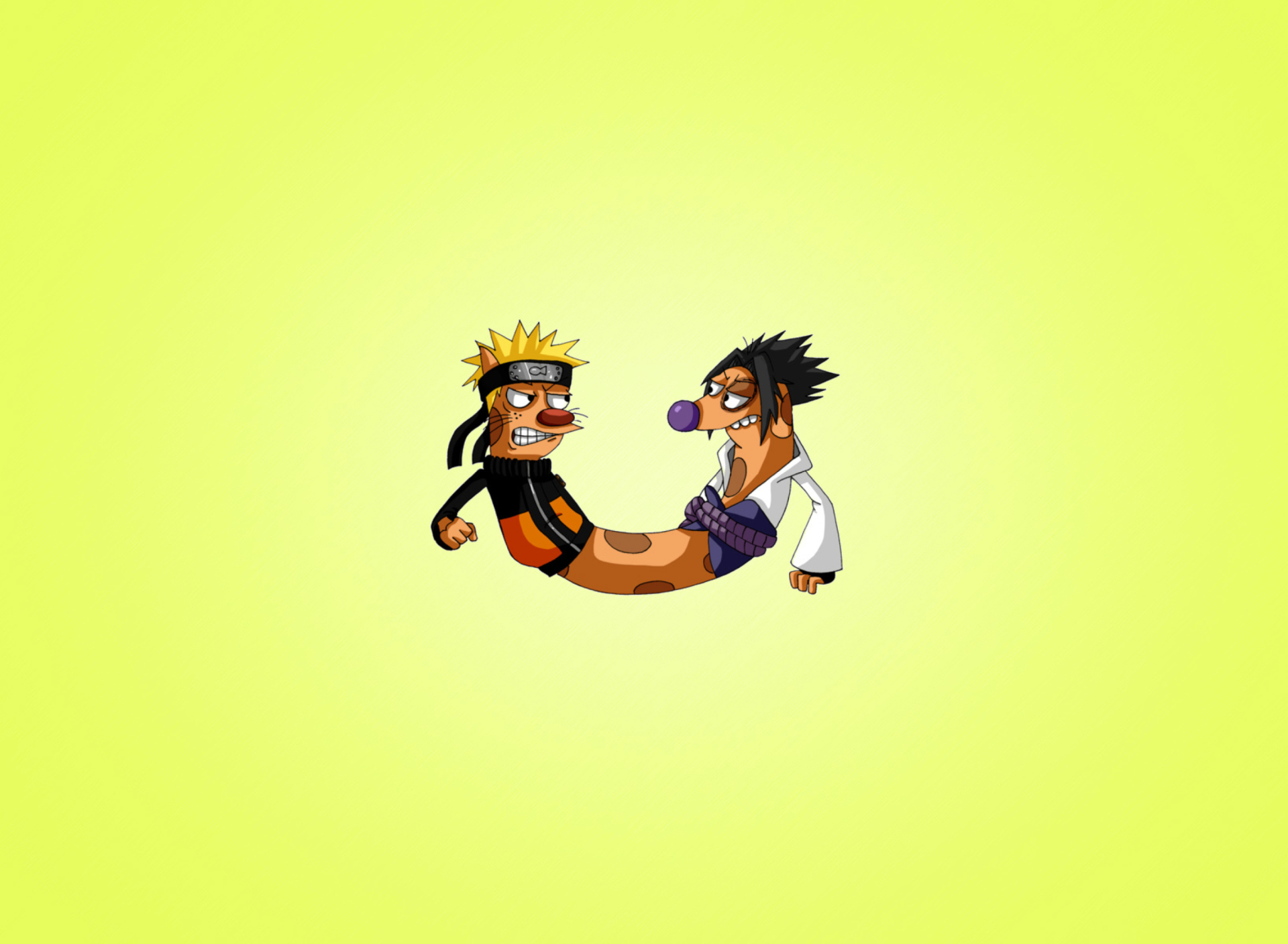 CatDog Naruto wallpaper 1920x1408