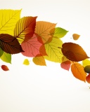 Das Drawn autumn leaves Wallpaper 128x160