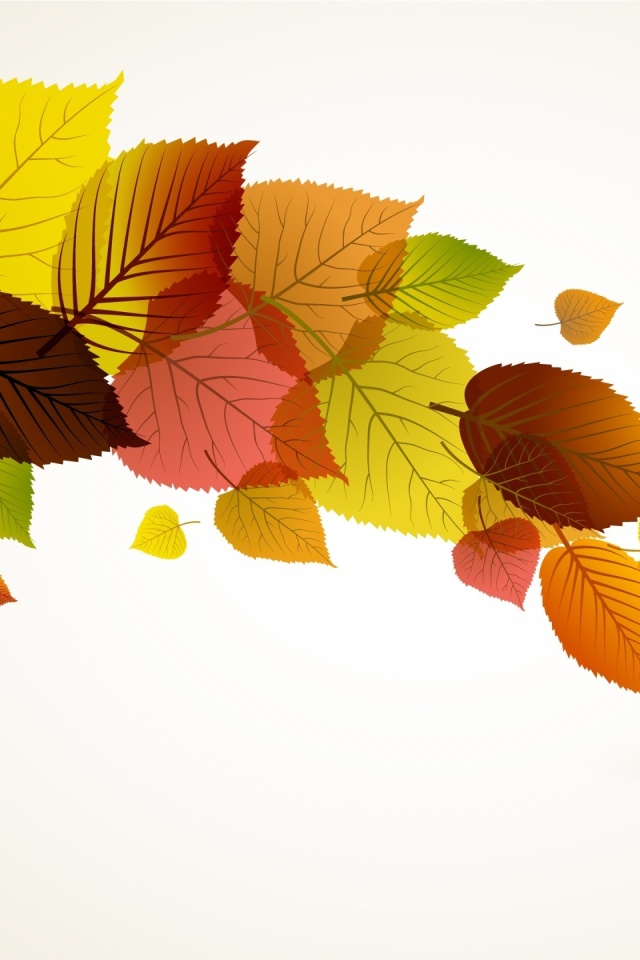 Drawn autumn leaves wallpaper 640x960