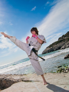 Fondo de pantalla Karate 240x320