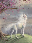 Das Art Wolf and Sakura Wallpaper 132x176