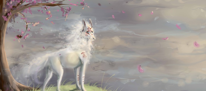 Sfondi Art Wolf and Sakura 720x320