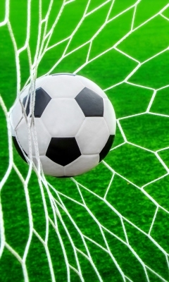 Das Ball In Goal Net Wallpaper 240x400