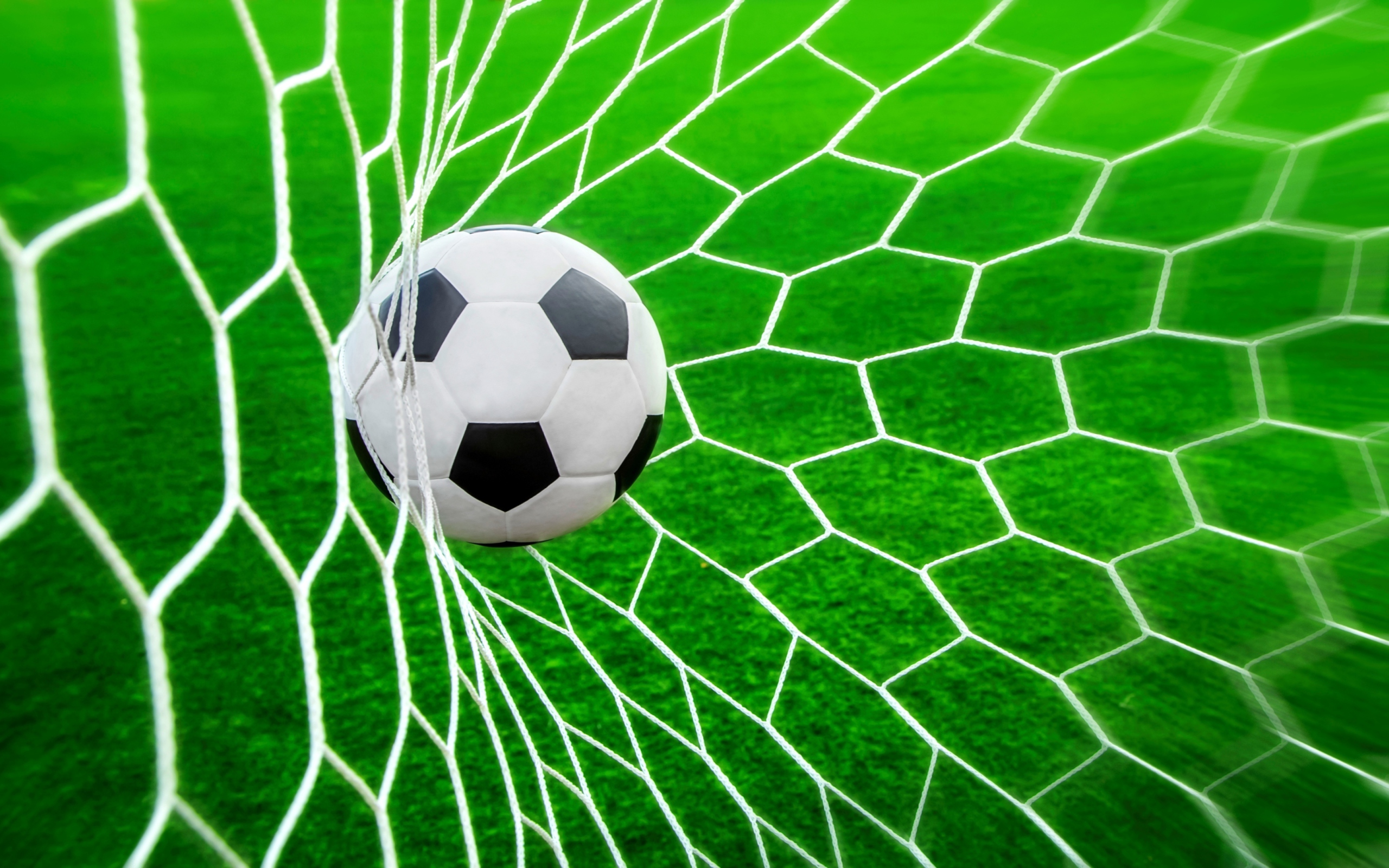 Fondo de pantalla Ball In Goal Net 2560x1600