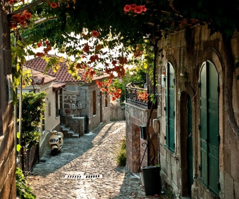 Italy Street Sicily wallpaper 480x400