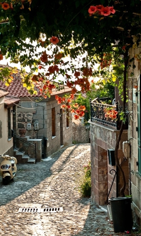 Italy Street Sicily wallpaper 480x800