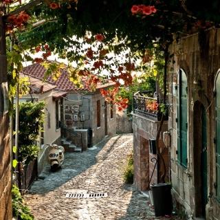 Italy Street Sicily - Obrázkek zdarma pro 128x128