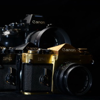 Das Canon F1 Reflex Camera Wallpaper 208x208