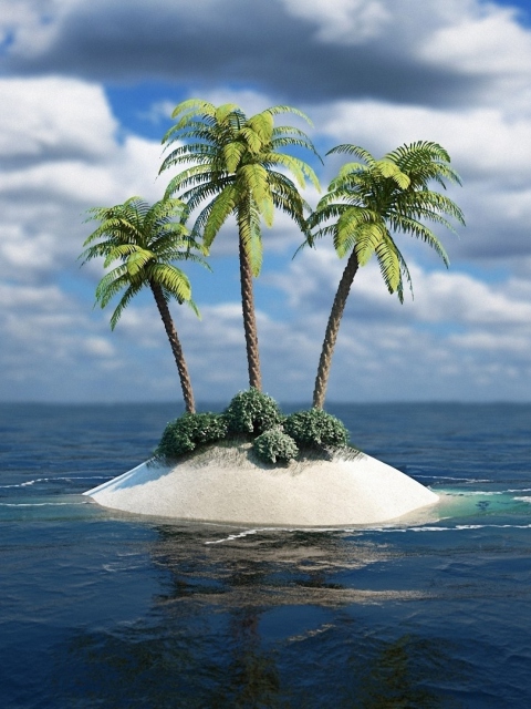 3D Palm Tree Island screenshot #1 480x640