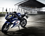 YZF R125 Yamaha Race Motor screenshot #1 176x144