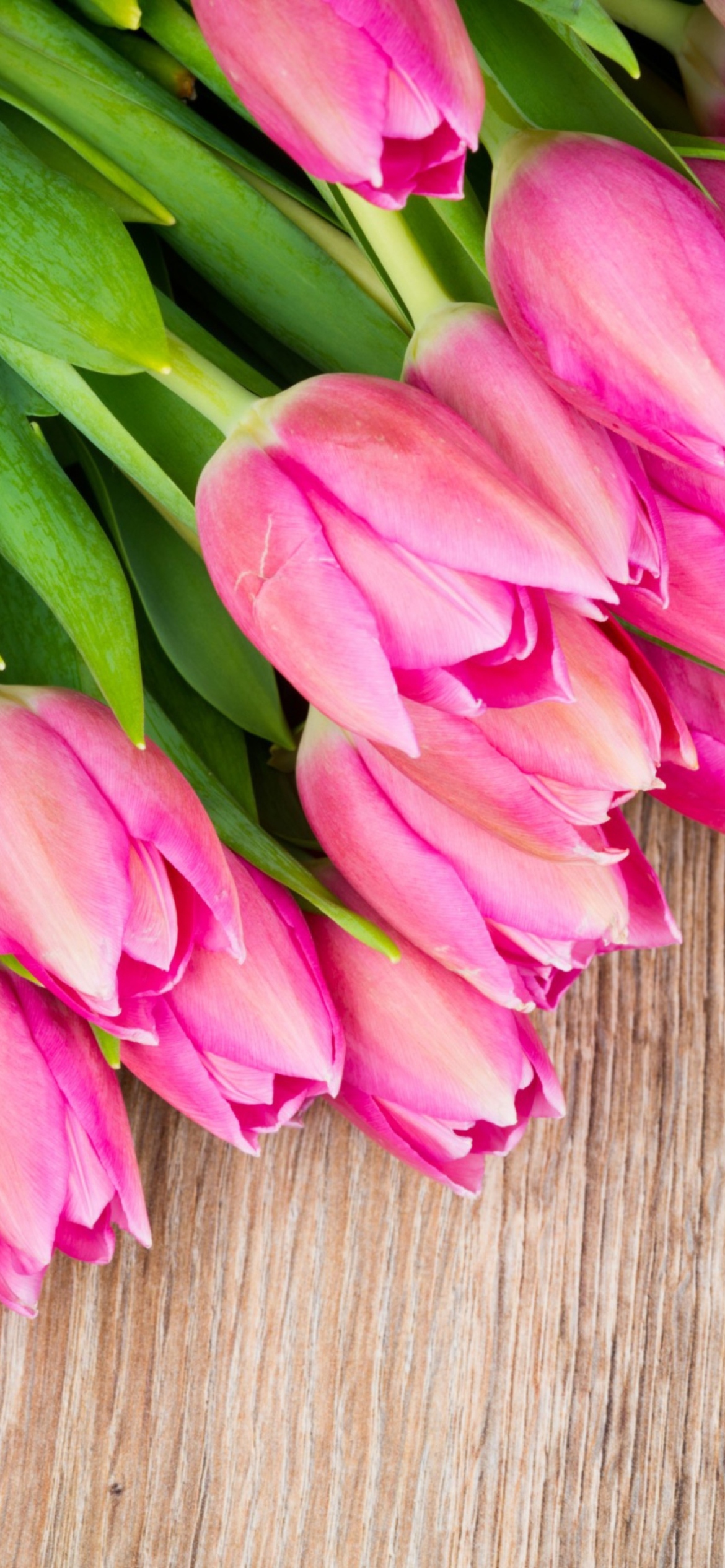 Fondo de pantalla Pink Tulips Bouquet 1170x2532
