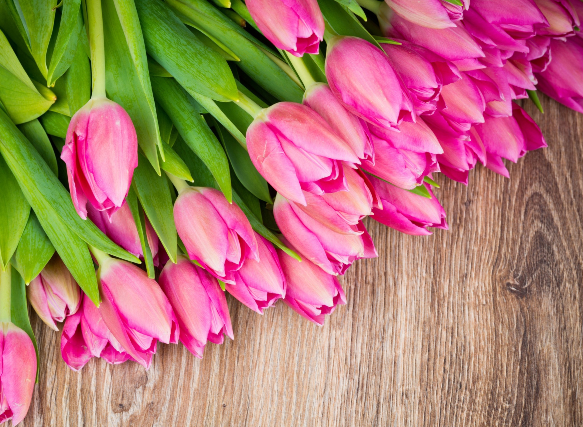 Pink Tulips Bouquet wallpaper 1920x1408