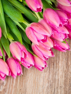 Обои Pink Tulips Bouquet 240x320