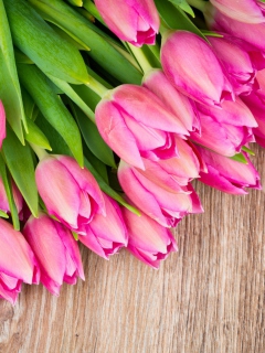 Pink Tulips Bouquet wallpaper 240x320