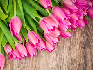 Обои Pink Tulips Bouquet 320x240