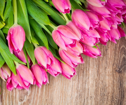 Pink Tulips Bouquet wallpaper 480x400