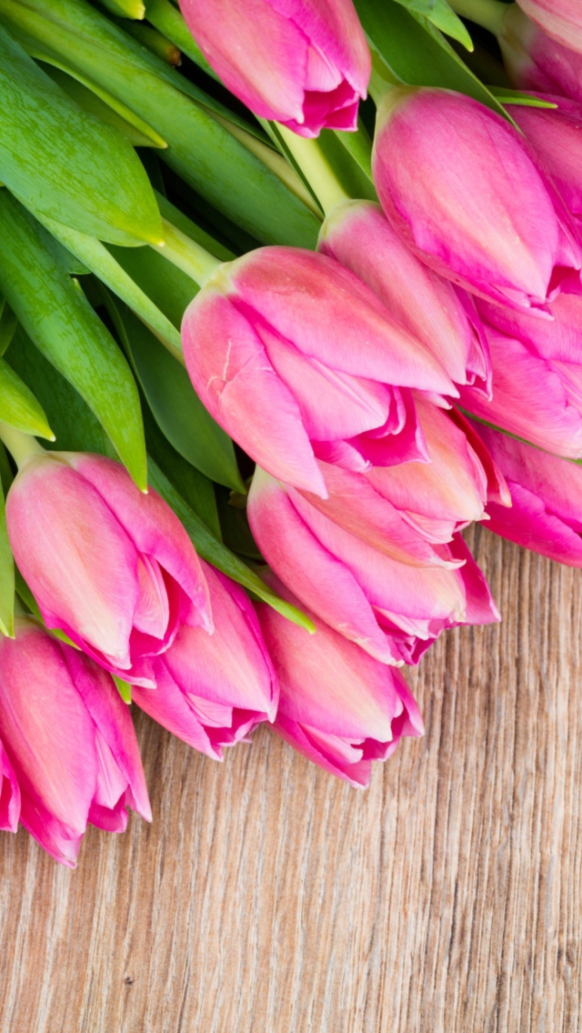 Pink Tulips Bouquet wallpaper 640x1136