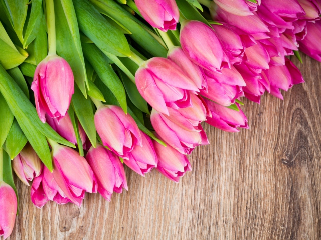 Обои Pink Tulips Bouquet 640x480