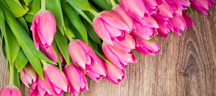 Sfondi Pink Tulips Bouquet 720x320