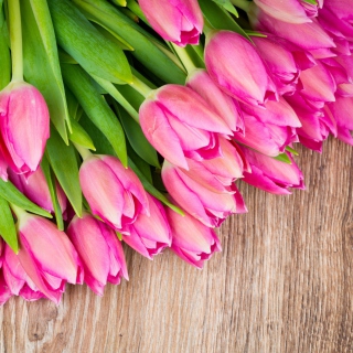 Pink Tulips Bouquet papel de parede para celular para 128x128