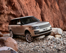 Range Rover screenshot #1 220x176