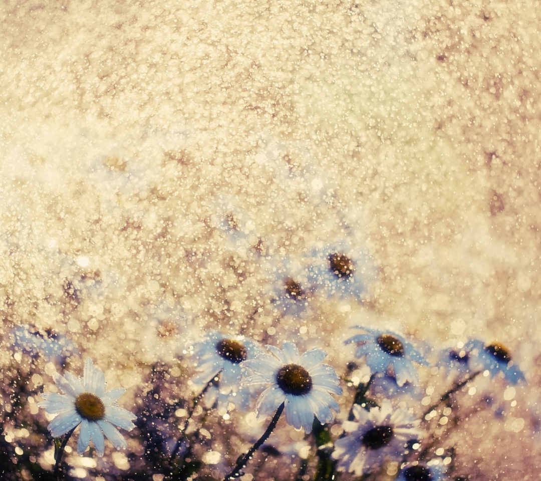 Summer Flowers wallpaper 1080x960