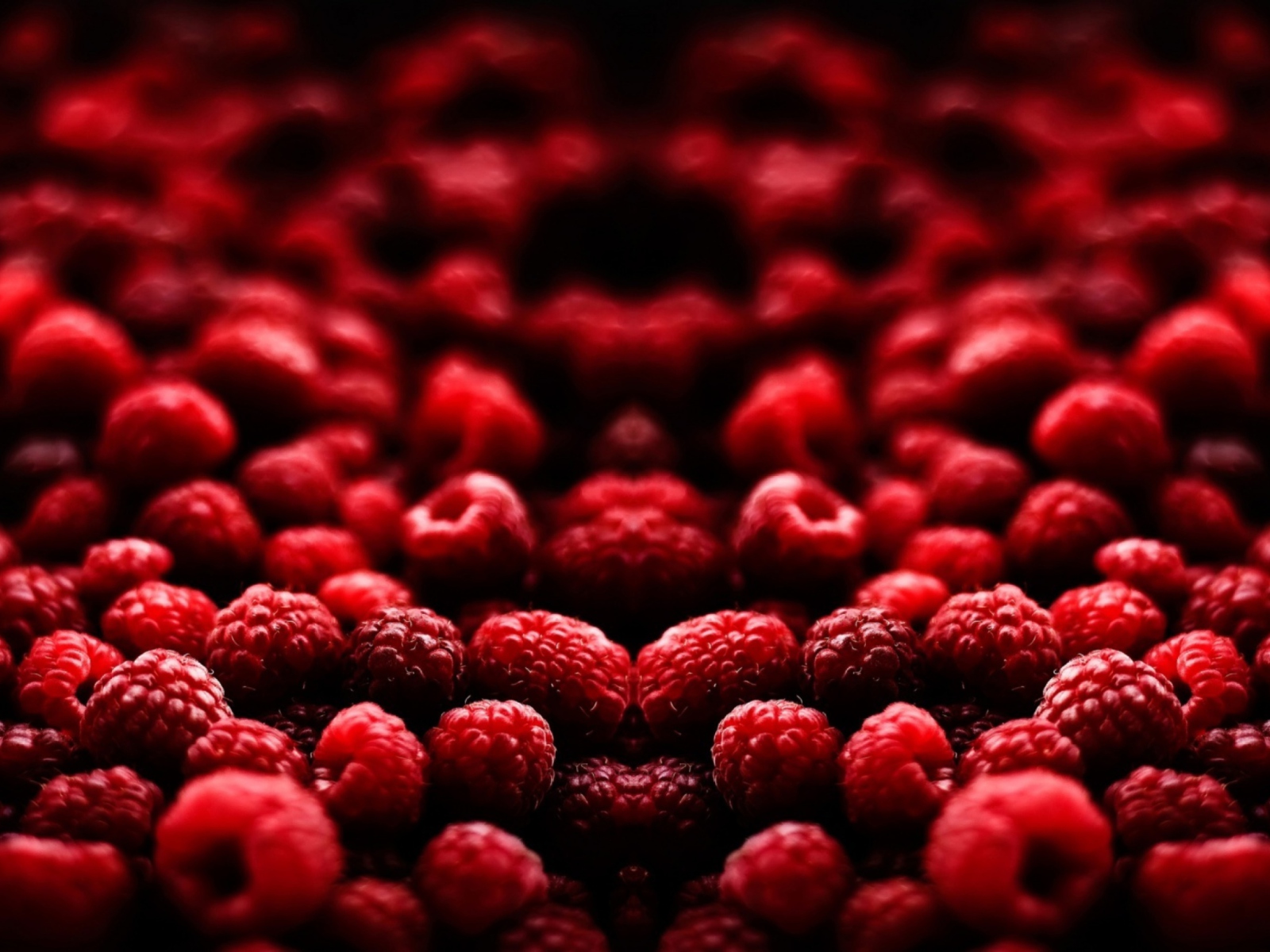 Sfondi Red Raspberries 1600x1200