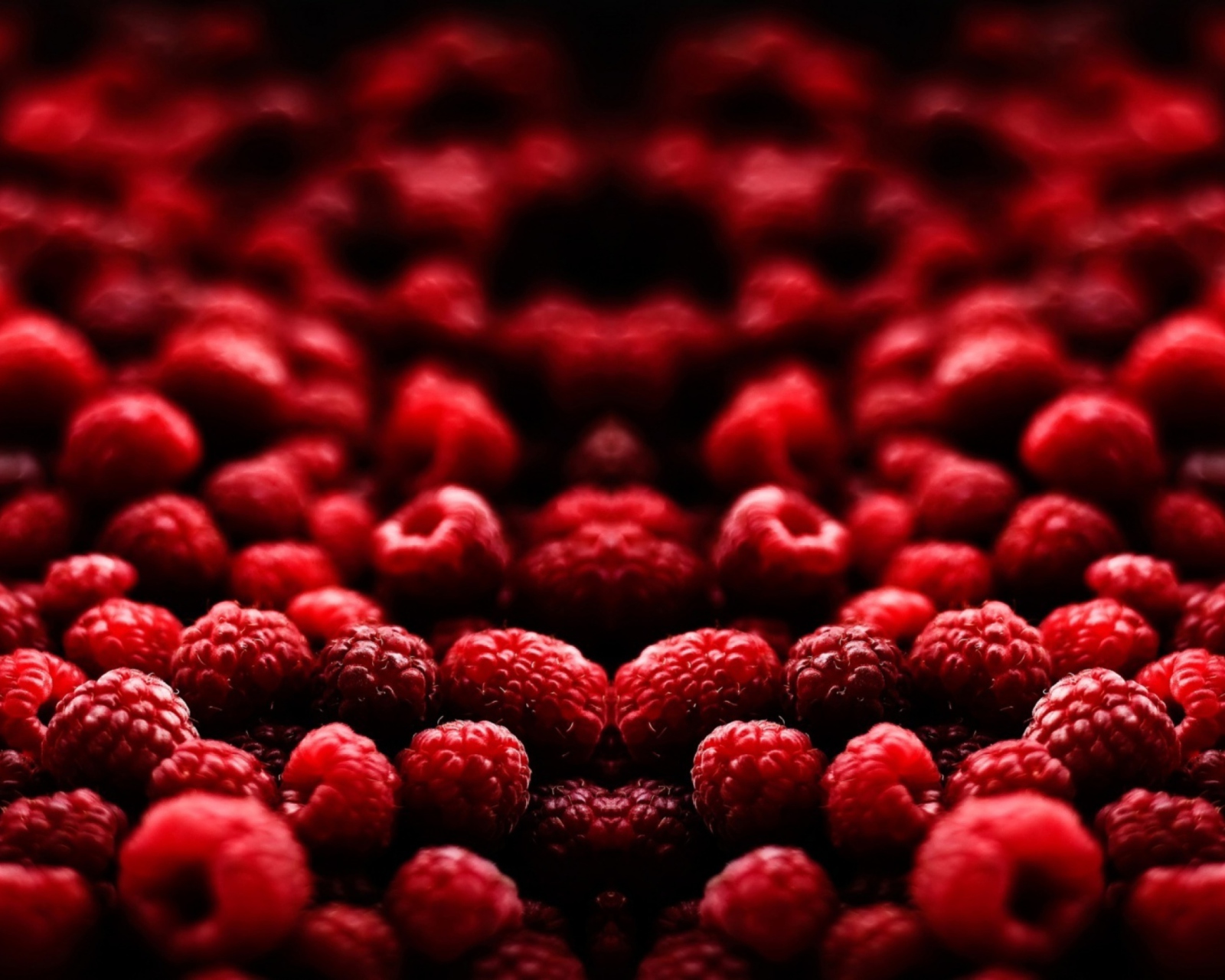 Das Red Raspberries Wallpaper 1600x1280