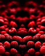 Red Raspberries wallpaper 176x220