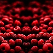 Das Red Raspberries Wallpaper 208x208