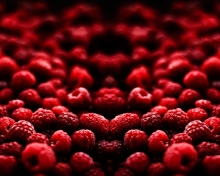 Sfondi Red Raspberries 220x176