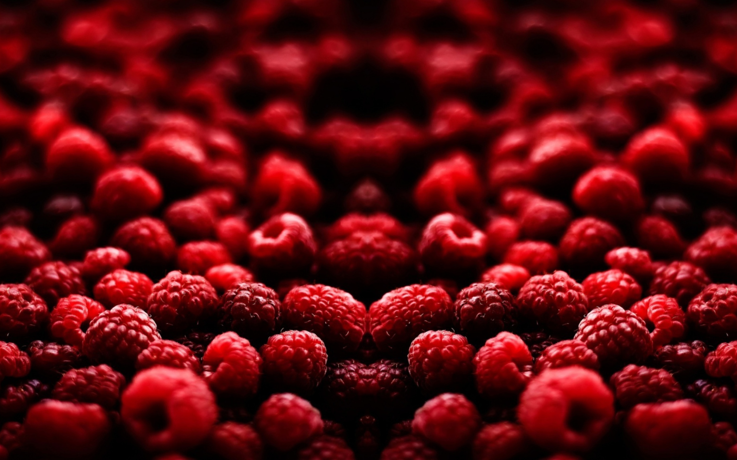 Red Raspberries wallpaper 2560x1600