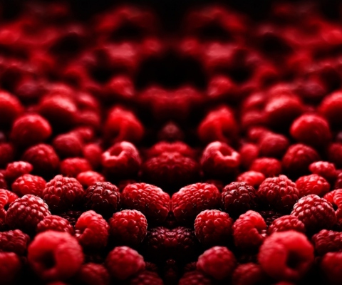 Sfondi Red Raspberries 480x400
