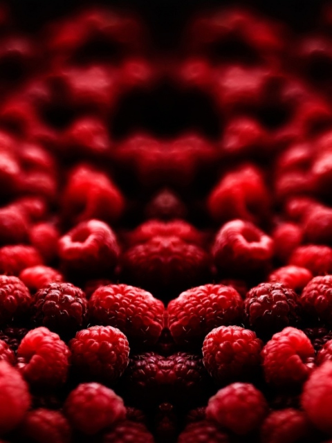 Обои Red Raspberries 480x640