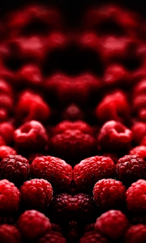 Red Raspberries wallpaper 480x800