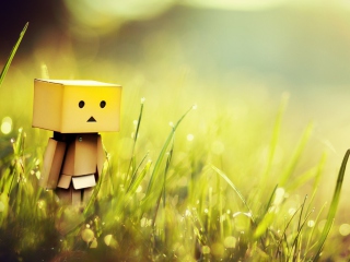 Das Danbo In Green Grass Wallpaper 320x240