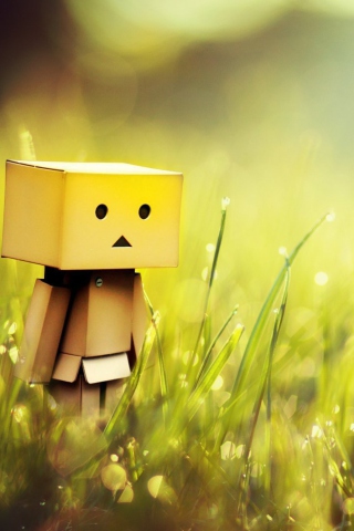 Screenshot №1 pro téma Danbo In Green Grass 320x480