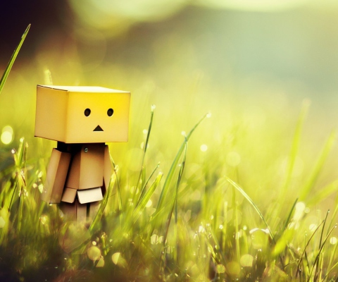 Das Danbo In Green Grass Wallpaper 480x400