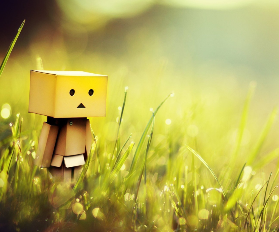 Danbo In Green Grass wallpaper 960x800